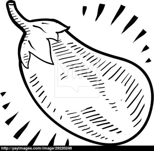 512x502 Eggplant Sketch Vector - Eggplant Sketch