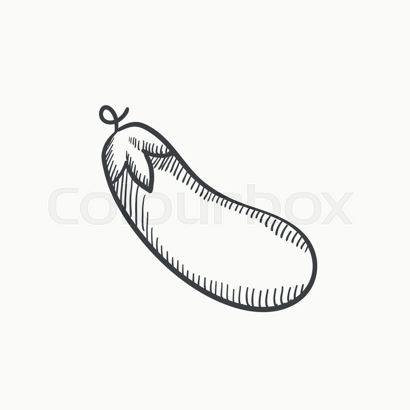 800x800 Eggplant Vector Sketch Icon Isolated On Background. Hand Drawn - Eggplant Sketch