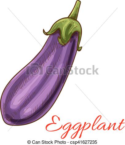 407x470 Eggplant Vegetable Sketch Isolated Icon. Eggplant Vegetable Icon - Eggplant Sketch