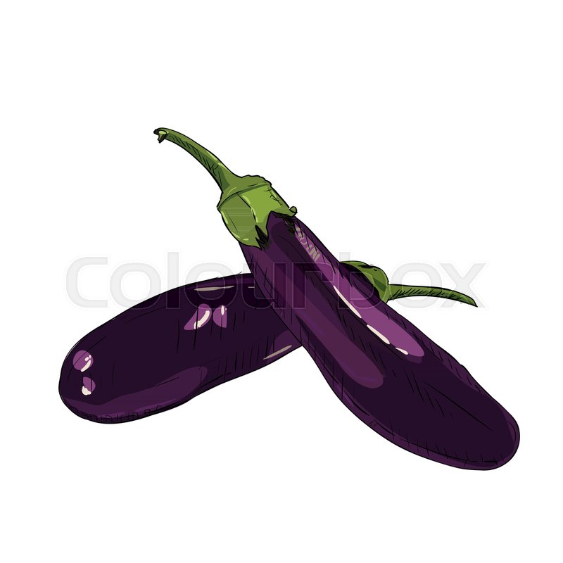 800x800 Hand Drawn Color Sketch Of Eggplant. Vintage Engraved Illustration - Eggplant Sketch