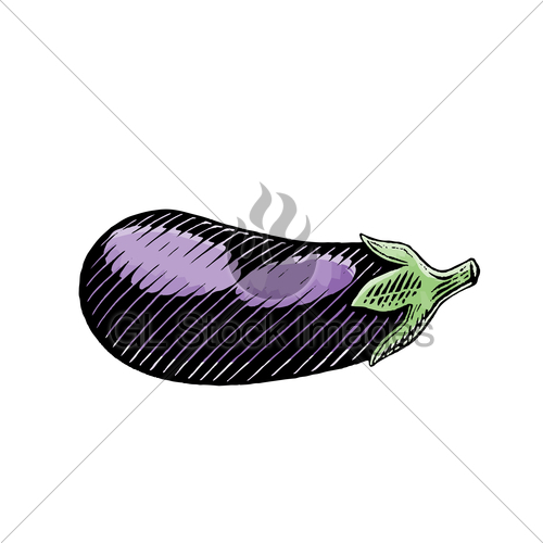 500x500 Ink And Watercolor Sketch Of An Eggplant Gl Stock Images - Eggplant Sketch