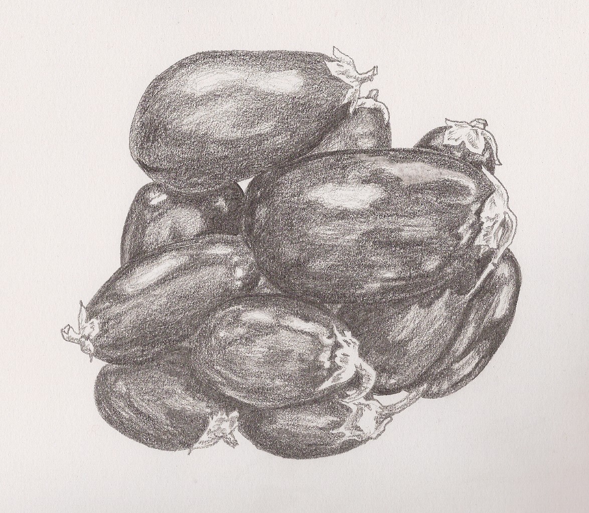 1174x1024 Sketch A Day 2011 December 29, 2011 - Eggplant Sketch