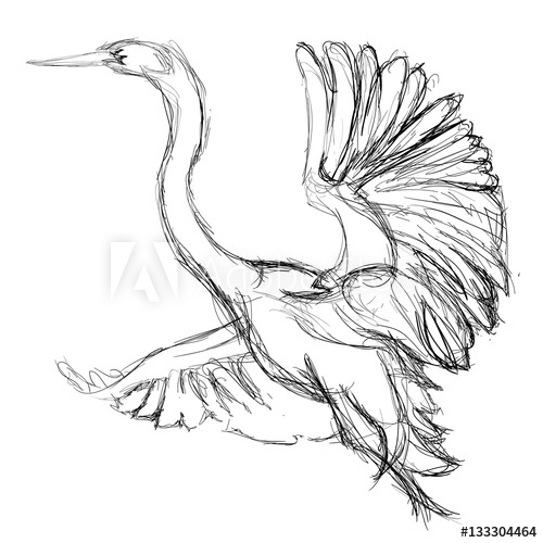 500x500 Egret Taking Flight Vector Line Sketch. - Egret Sketch