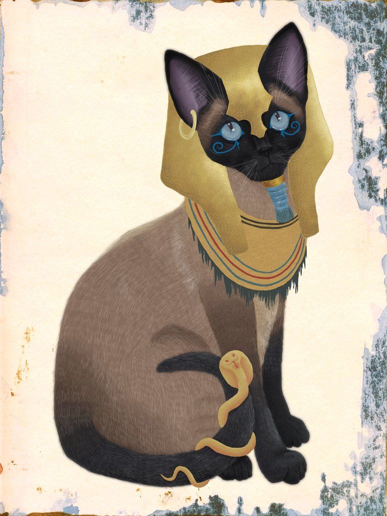 774x1032 Egyptian Cat Drawings - Egyptian Cat Sketch