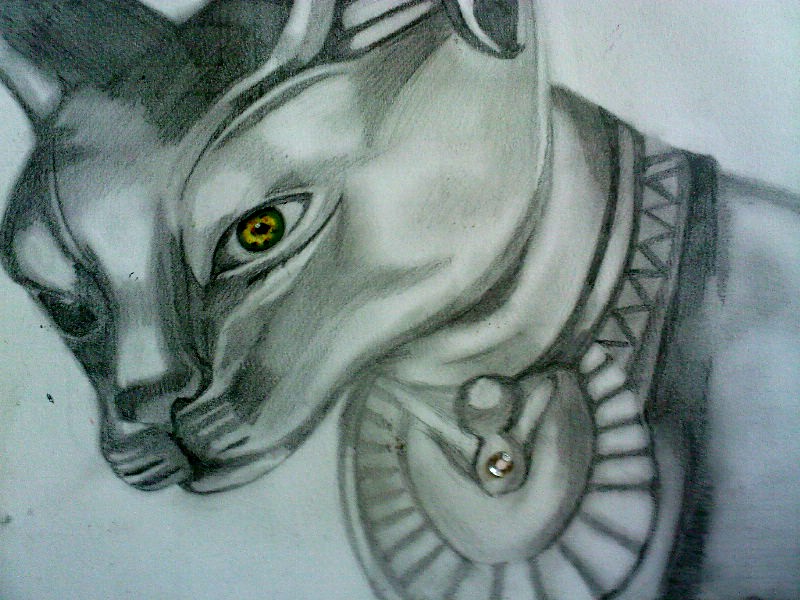 Egyptian Cat Sketch at PaintingValley.com | Explore collection of ...