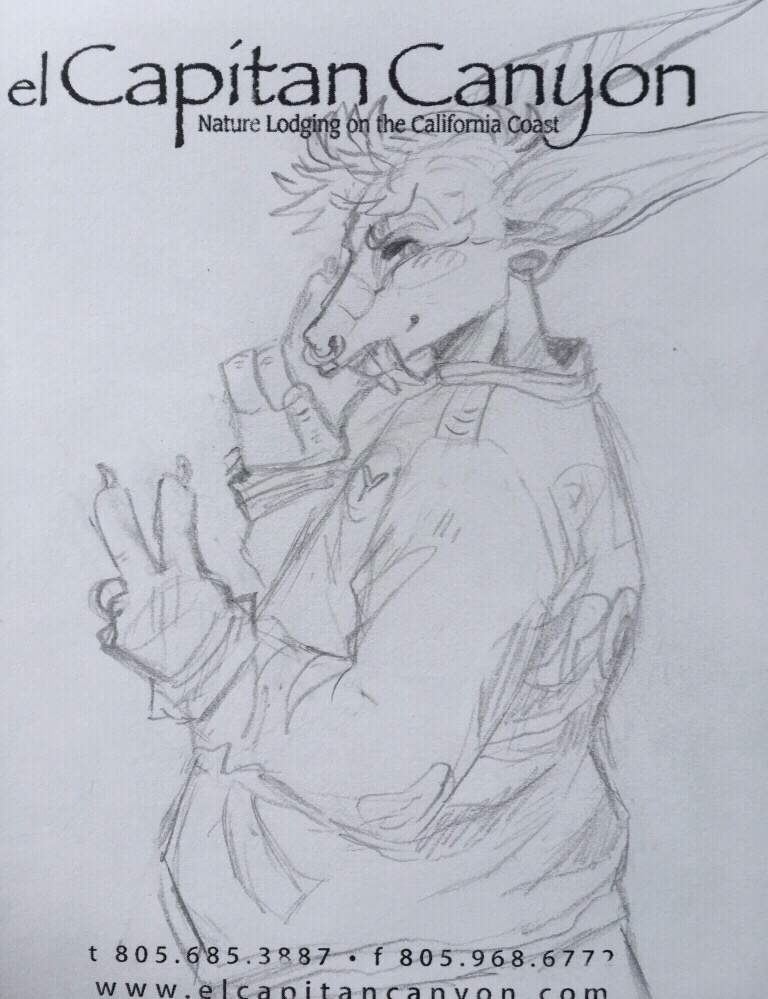 768x999 Sketches! + Sketch Trade Open! Furry Amino - El Capitan Sketch