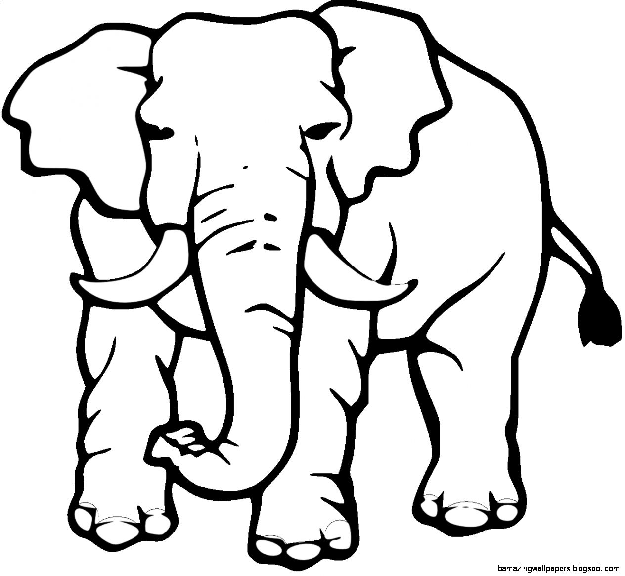 1264x1165 Collection Of Free Acalephans Clipart Sketch. Download On Ubisafe - Elephant Black And White Sketch