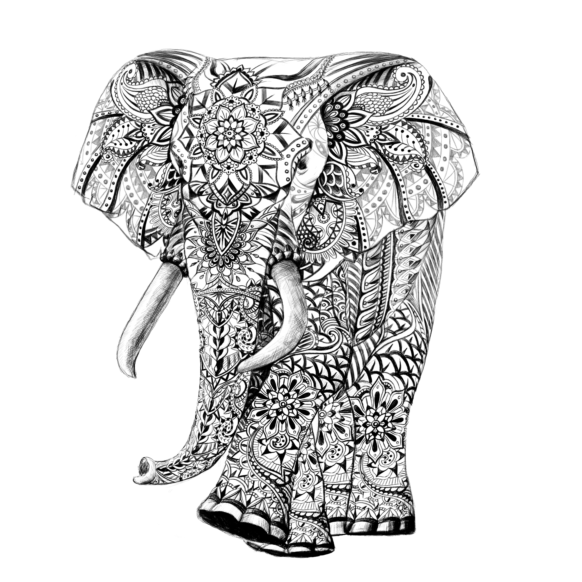 2000x2000 Drawn Elephant Graphic - Elephant Black And White Sketch