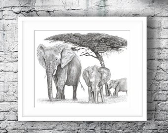 340x270 Elephant Drawing Etsy - Elephant Black And White Sketch
