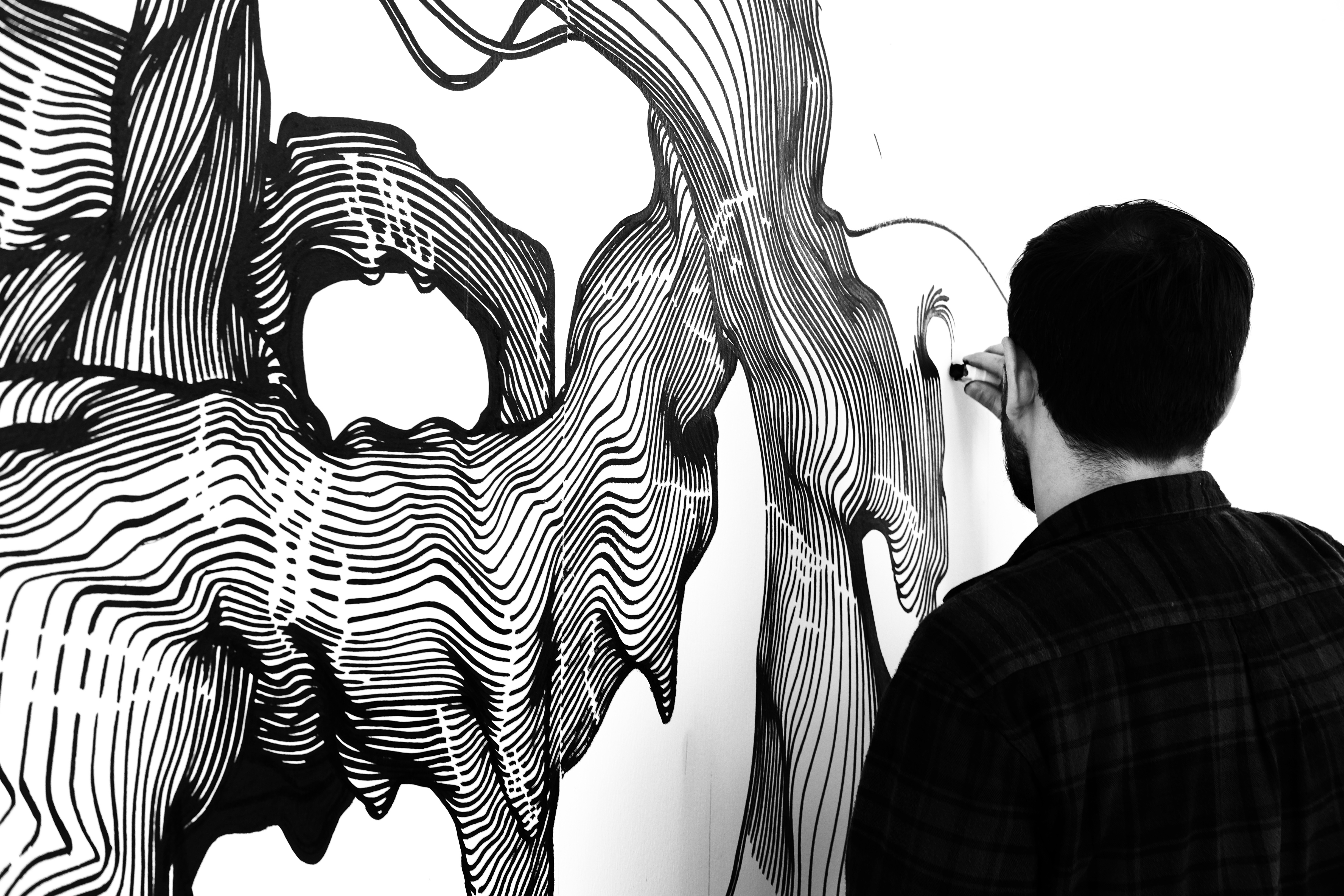 4896x3264 Free Images Black And White, Elephant, Zebra, Sketch, Drawing - Elephant Black And White Sketch