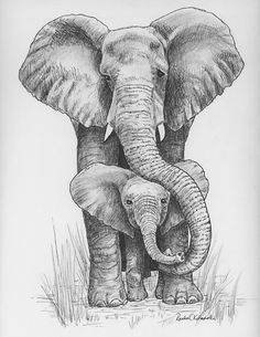 236x305 Pen And Ink Drawing Of Mama And Baby Elephant - Elephant Black And White Sketch