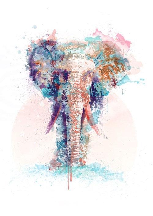 500x706 Elephant Face Sketch Pencil - Elephant Face Sketch