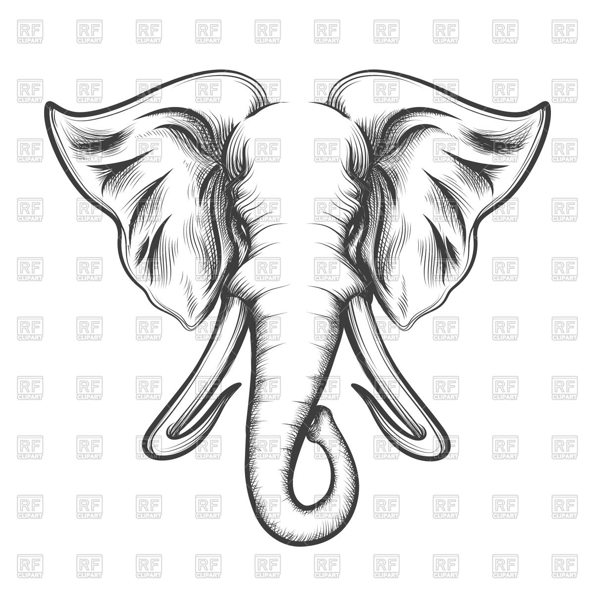1200x1200 Gallery Drawing An Elephant Head, - Elephant Face Sketch