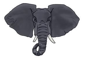 300x200 How To Draw An Elephant Face - Elephant Face Sketch