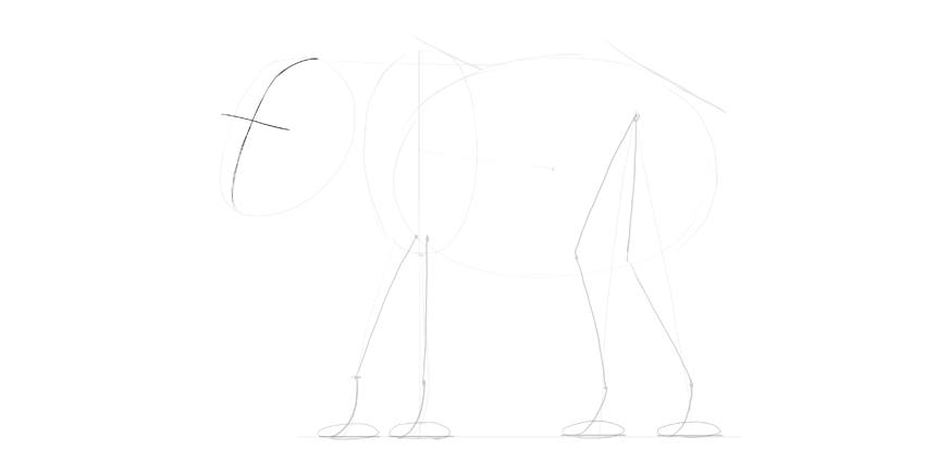 850x425 How To Draw An Elephant Step By Step - Elephant Face Sketch