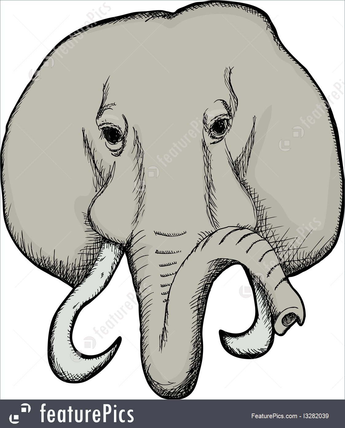 1123x1392 Illustration Of Elephant Face - Elephant Face Sketch