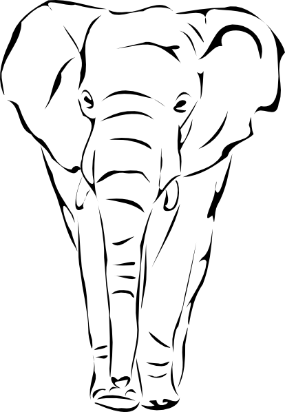 414x598 Sketches Of Elephants Face Images Amp Pictures - Elephant Face Sketch