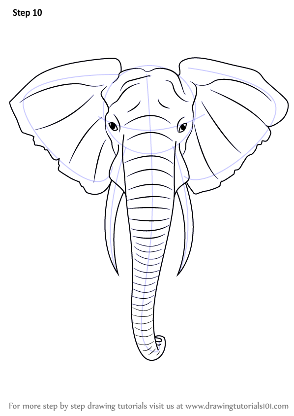 598x844 Step By Step How To Draw An Elephant Head. Art It All Out - Elephant Face Sketch