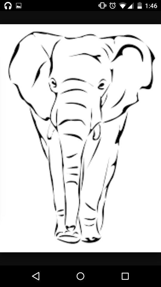 540x960 Elephant Elephants Drawings - Elephant Face Sketch
