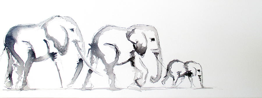 900x339 Black And White Elephant Paintings Fine Art America - Elephant Family Sketch