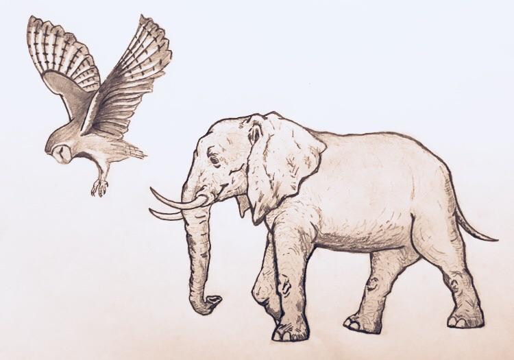 750x525 Custom Pencil Sketch. A Friend Lost 2 Family Members One With - Elephant Family Sketch