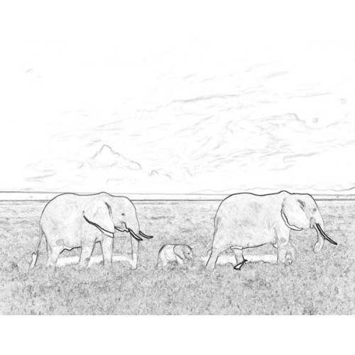 500x500 Elephant Family Sketch For Canvas Painting - Elephant Family Sketch