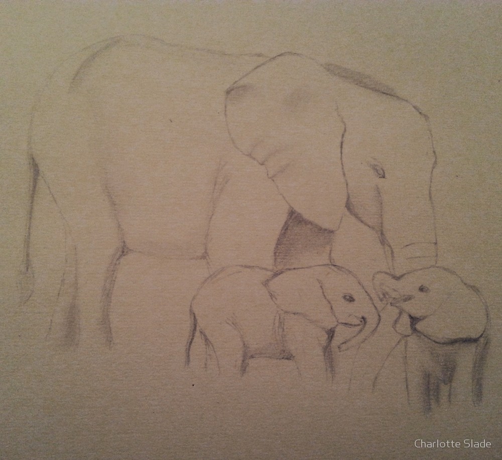 1000x917 Elephant Family By Charlotte Slade Redbubble - Elephant Family Sketch
