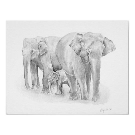 540x540 Elephant Head Doodle Sketch 2 Poster Zazzle.co.uk - Elephant Family Sketch