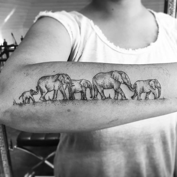 600x600 Elephant Tattoo Designs - Elephant Family Sketch