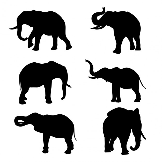 626x626 Elephant Vectors, Photos And Psd Files Free Download - Elephant Family Sketch