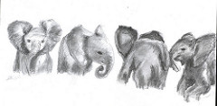 240x118 Elephant Family Sketch Graphite Anita - Elephant Family Sketch