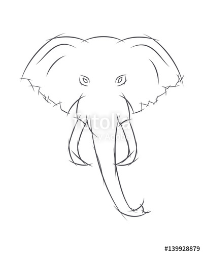 400x500 Elephant Head Front View. This Sketch May Be Used For Your Logo - Elephant Front View Sketch