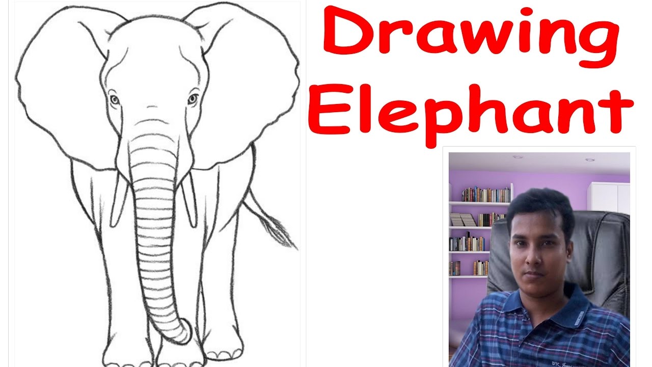 1280x720 How To Draw An Elephant Front - Elephant Front View Sketch