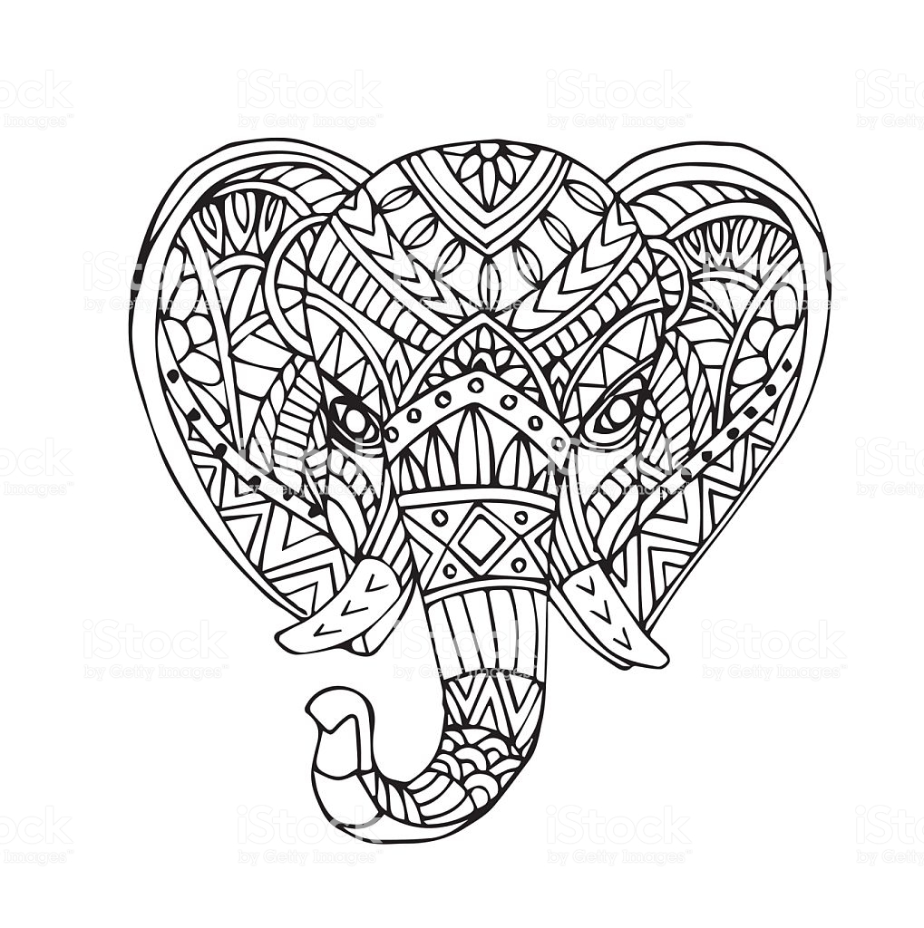 1019x1024 Gallery Drawing An Elephant Head, - Elephant Head Sketch