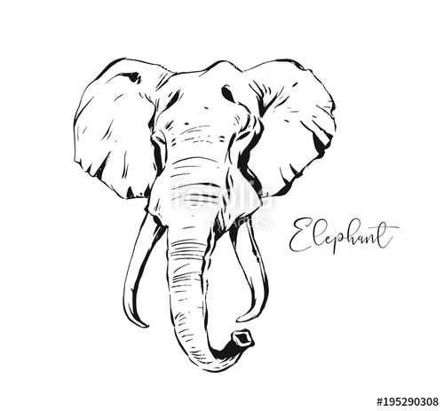 Elephant Head Sketch at PaintingValley.com | Explore collection of ...