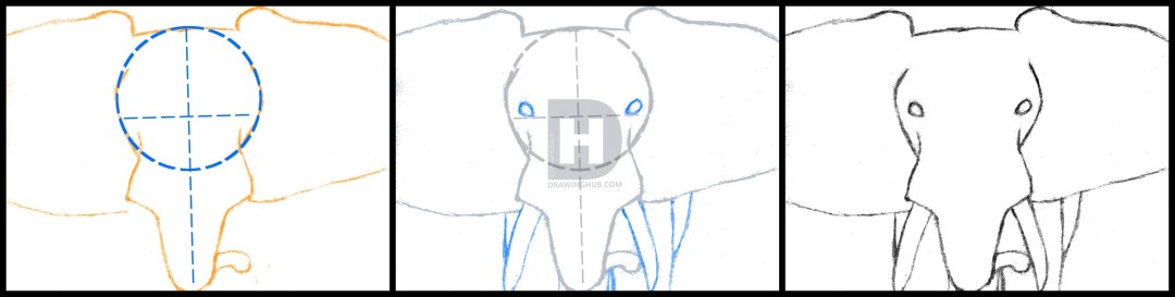 1080x273 How To Draw An Elephant Head, African Elephant, Step By Step - Elephant Head Sketch