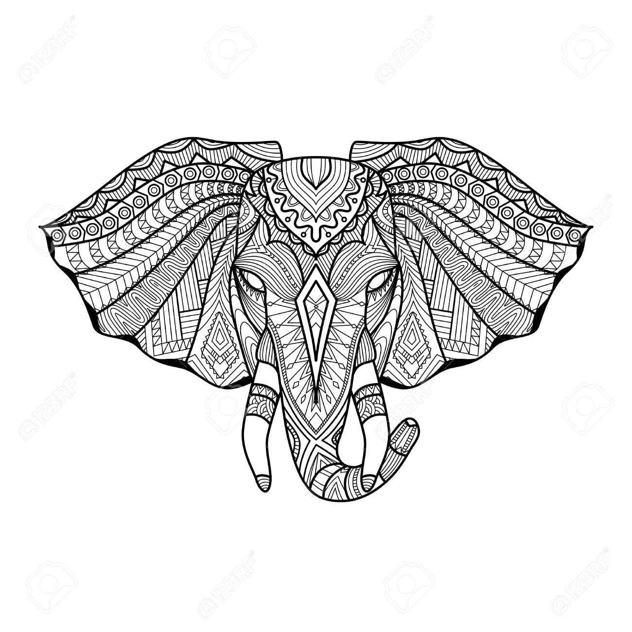 1300x1300 How To Draw An Elephant Head Drawn Sketch Pencil And In Color 19 - Elephant Head Sketch