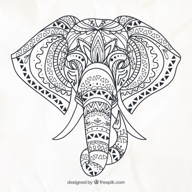 626x626 Elephant Vectors, Photos And Psd Files Free Download - Elephant Line Sketch