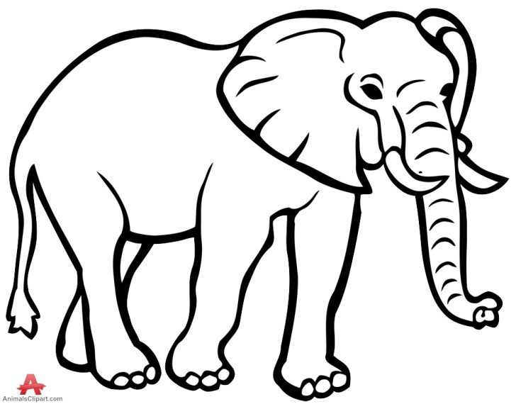 728x570 Elephant Clipart Sketch ~ Frames ~ Illustrations ~ Hd Images - Elephant Line Sketch