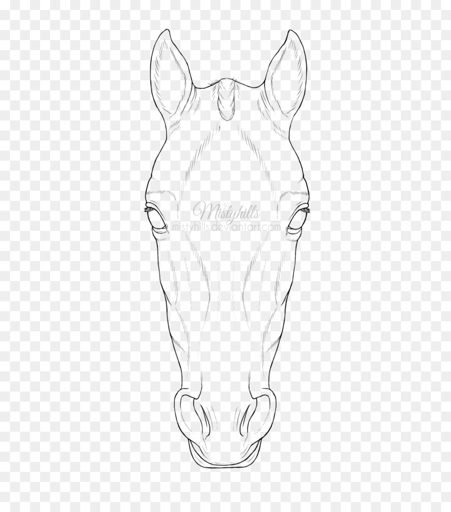 900x1020 Horse Drawing Line Art Snout Sketch - Elephant Line Sketch