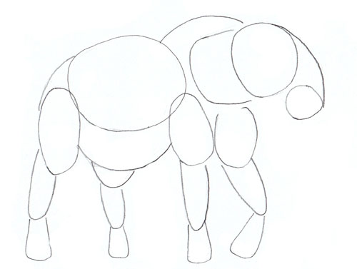 500x377 How To Draw An Elephant - Elephant Line Sketch