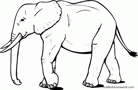 579x377 Asian Elephant Clipart Elephant Outline Free Collection Download - Elephant Line Sketch