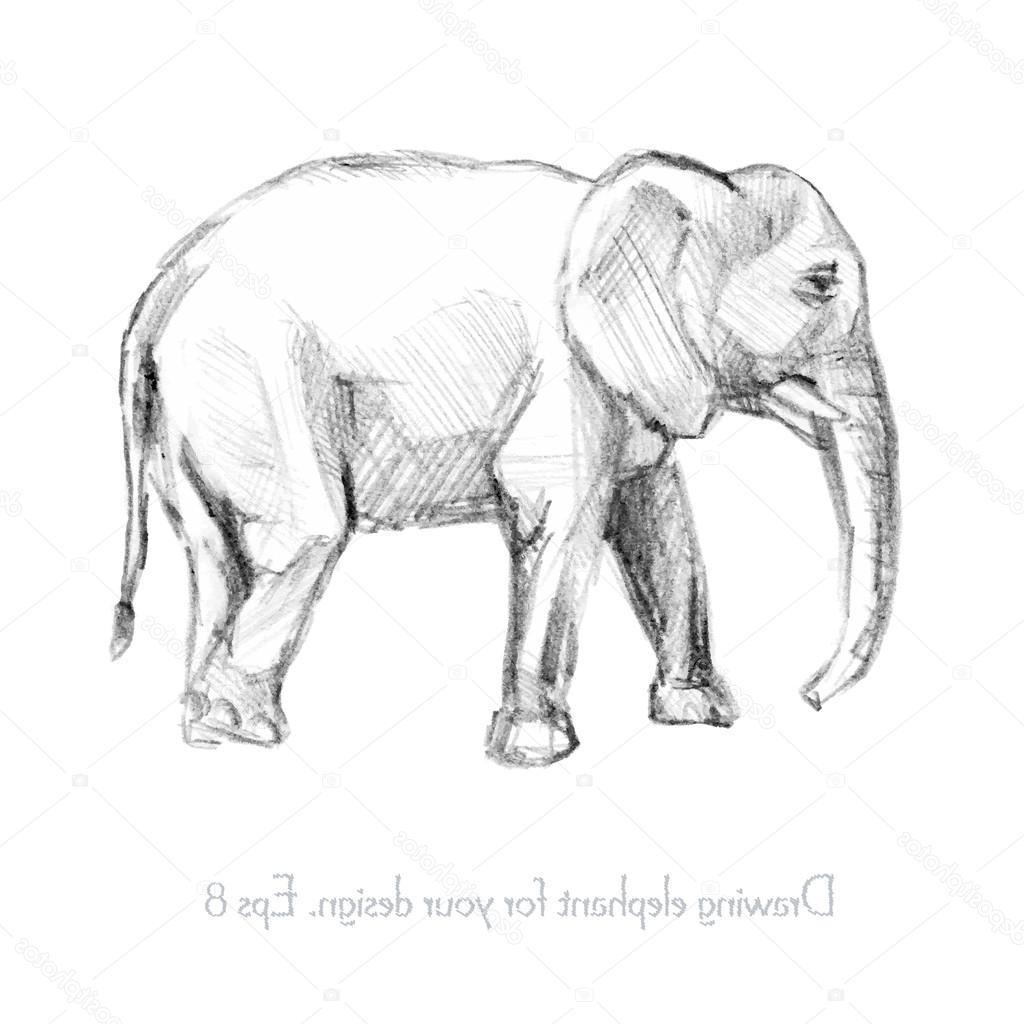 1024x1024 Indian Elephant Pencil Drawing Pencil Sketch Of An Elephant - Elephant Pencil Sketch