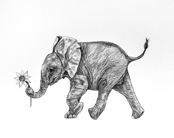  Elephant Pencil Sketch at PaintingValley.com Explore collection of 