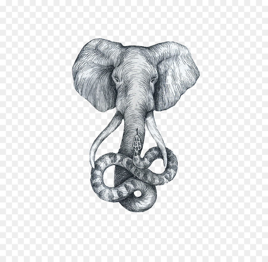 900x880 Drawing African Elephant Sketch - Elephant Sketch