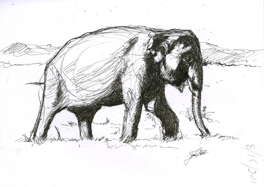 900x639 Elephant Sketch By Futureaesthetic - Elephant Sketch Art
