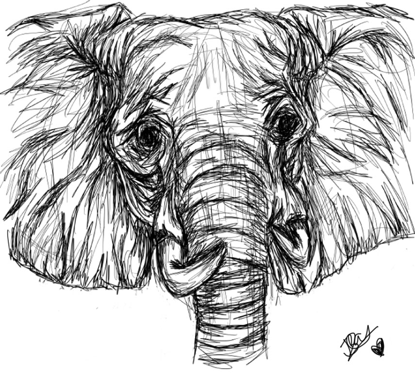856x784 Elephant Sketch By Jazzi Kit - Elephant Sketch Art