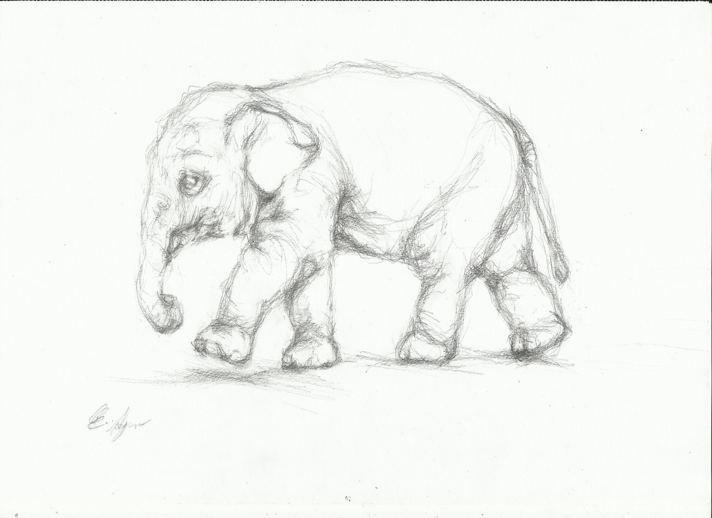 Elephant Sketch Art at PaintingValley.com | Explore collection of ...