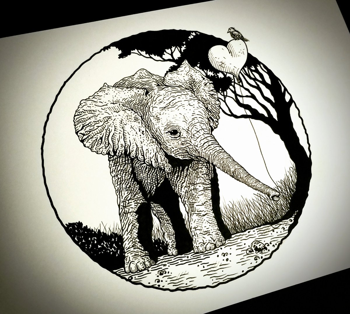 1200x1077 Carsten Beimdieck (@artofbeimdieck) Twitter - Elephant Sketch Art