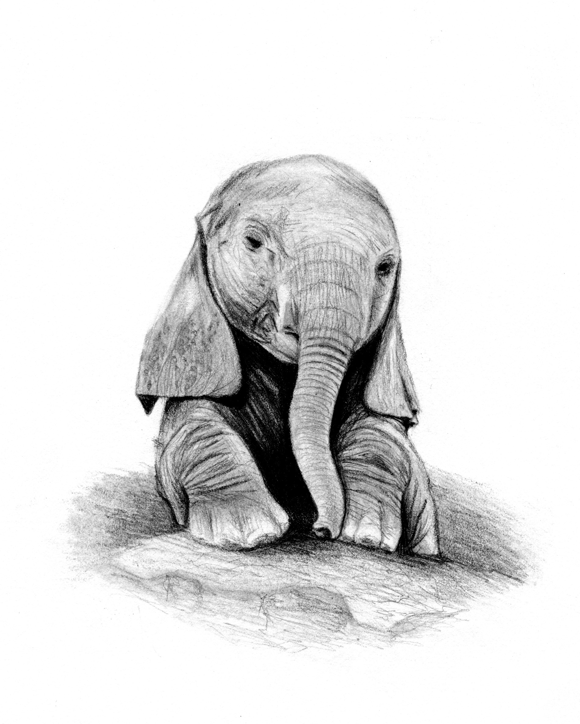 Elephant Sketch Easy at PaintingValley.com | Explore collection of ...